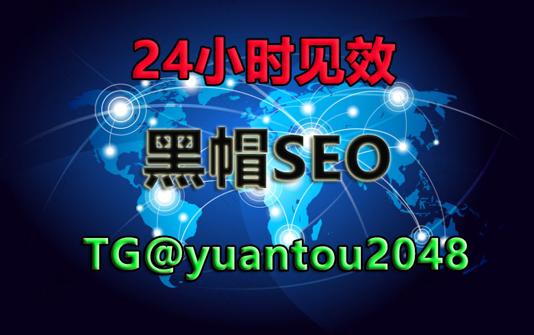 网络霸屏之术：SEO技术揭秘